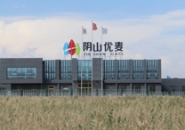 權(quán)威！陰山優(yōu)麥被認(rèn)證為“中國(guó)有機(jī)燕麥第 一品牌”